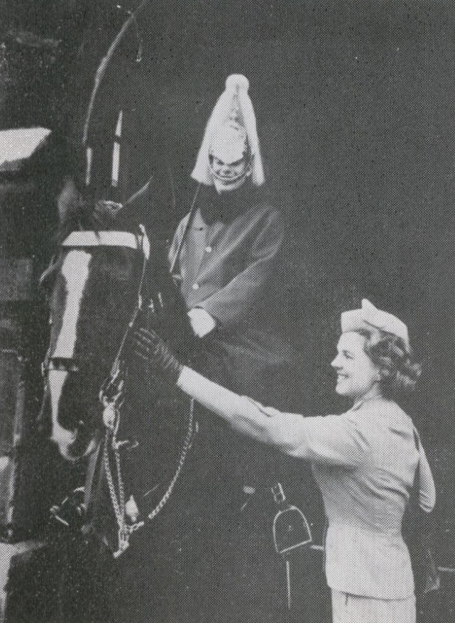 1959 A Pan Am stewardess in London England meeting the horse of a Royal Guard.